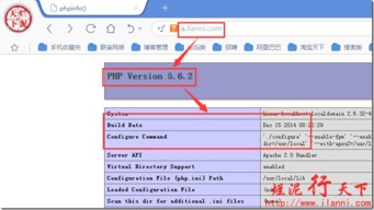 Apache服务器的虚拟主机与虚拟目录有什么不同(虚拟目录与虚拟主机的区别)