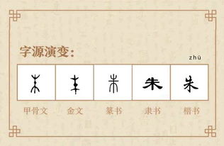 每日一字 百家姓 朱 从平民到皇帝,朱姓竟然有这么多故事 