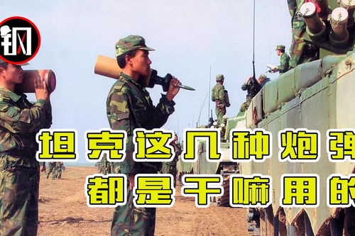 中国坦克喜提新炮弹,坦克一次带这么多种炮弹,打仗怎么选