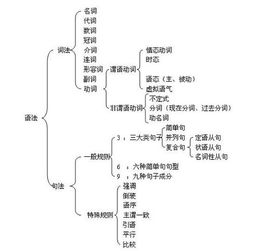 定语从句的位置及使用方法