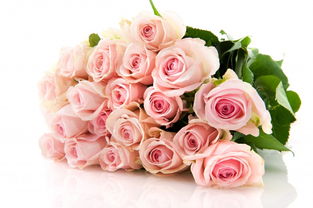 结婚后情人节送什么花,结婚后的情人节，送花仍然是一个受欢迎的礼物选择