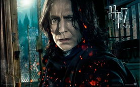 哈利 波特与死亡圣器 下 Harry Potter Deathly Hallows Part II 