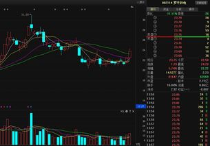002114罗平锌电为何业绩亏损还上涨？