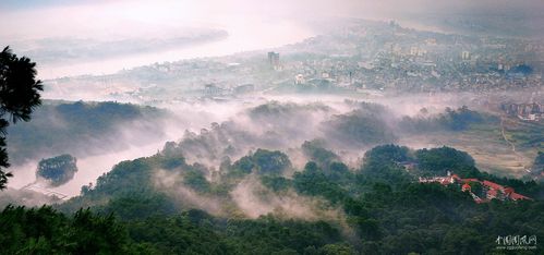 桂平西山附近一座山挖出140岁蛇精 16米长,桂平西山附近一座山挖出140岁蛇精16米长是真的、、？(图1)