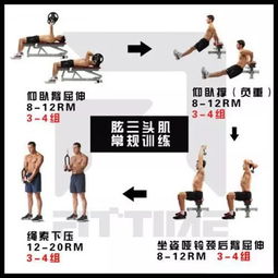 锻炼计划怎么弄好看(上班的人怎么安排去健身房锻炼的时间)(锻炼 计划)