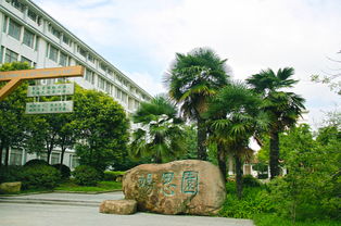 扬州工业技术学院好么,徐州工业职业技术学院和扬州工业职业技术学院比较，哪个好点?比如宿舍和校区方面。