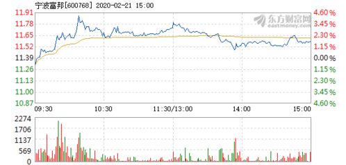  宁波富邦控股集团有限公司股票代码查询,宁波富邦控股集团有限公司股票代码查询指南 天富登录