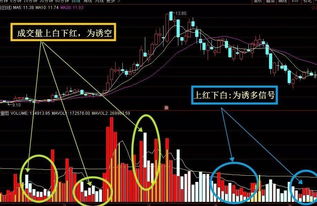 手机上股票交易软件看一只股票成交量在那看的