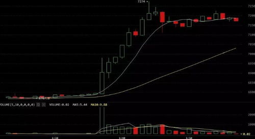 AI/BTC币,btc是什么币？