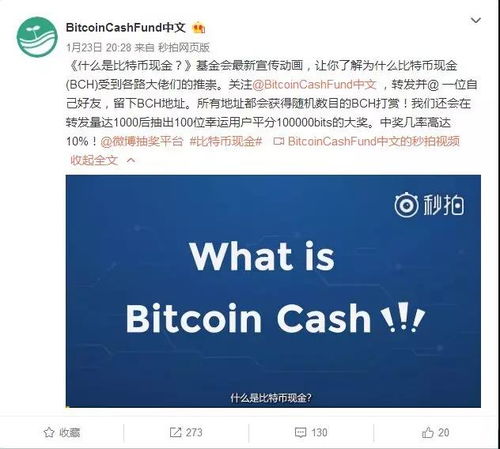 比特币现金bch什么情况,比特币缓存(BCH) 比特币现金bch什么情况,比特币缓存(BCH) 融资