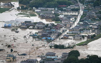 日本暴雨致上万房屋被淹 居民爬屋顶等救援 组图
