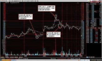 股票买入数量如何填写为什么我每次输入要买的数量，总