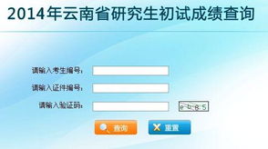 云南省招考频道录取查询(云南省招考频道网站)