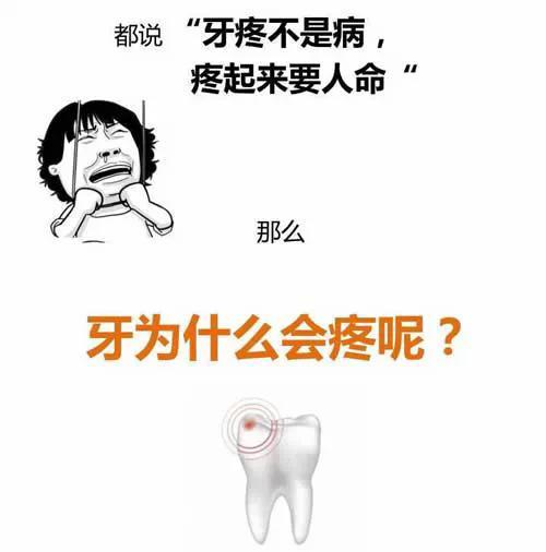 牙痛不是病,痛起来要人命
