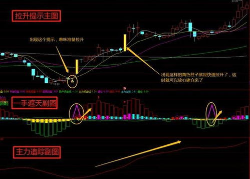 如何在股票软件上添加自己编辑公式的指标,自编指标源码怎么导出