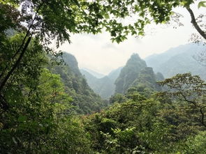 天书峡谷 天书峡谷风景区,天书峡谷旅游攻略指南 