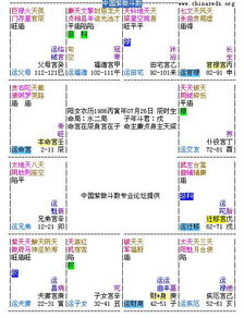 帮我看看这个紫微斗数命盘如何 