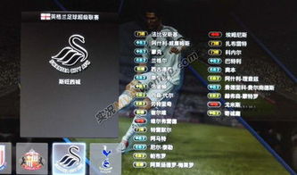 pes2013wecn3.0国际版