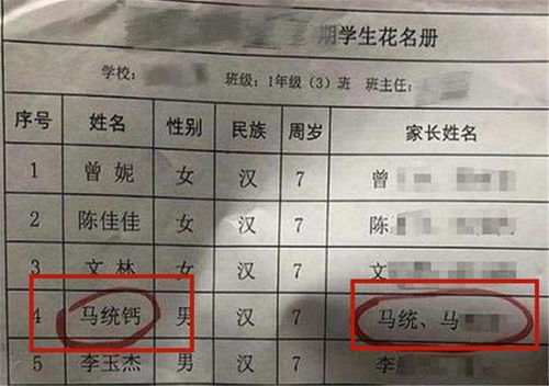 爸爸姓 马 ,尽洪荒之力给娃取的名字绝了,老师 不好意思点名