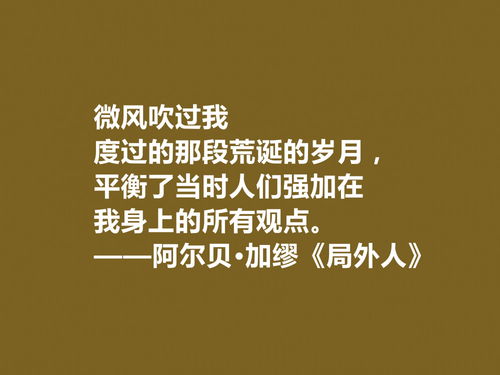 小说人生名言;局外人小说名言？