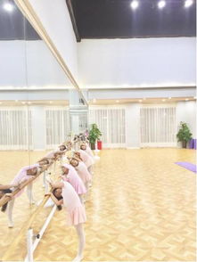 成人舞蹈培训学校哪个好,深圳成人学舞蹈最好的机构有哪些？