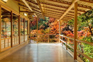 京都最佳赏红叶餐厅推荐 谁说红叶和美食不可兼得