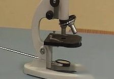 显微镜的使用视频 