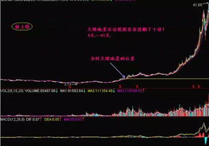 天眼地量选股公式？