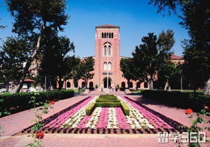 加州大学圣迭戈分校世界排名,世界排名中的璀璨明珠