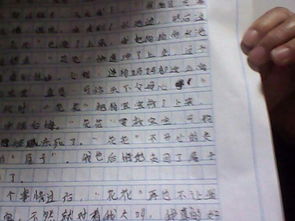 人鱼之泪400字作文