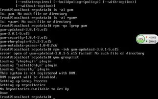 linux安装yum,Linux系统下yum的安装与配置指南
