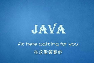 java培训前景,掌握未来，启航Java培训：开启你的技术之旅