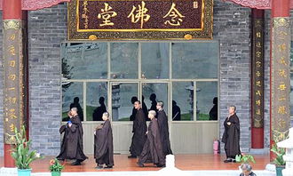 中国 最大 的尼姑庵,庙内有3000尼姑,寺庙内都不问世事