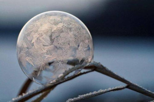 你知道吗 目前已知雪花形状有两万多种