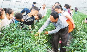 学习农事二耕种(万象耕新丨经验再好，不如科学耕种)