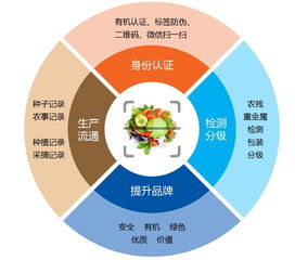 网络如何卖农作物种子（网络农作物种子销售策略：全面解析如何在网络平台上成功销售农作物种子）