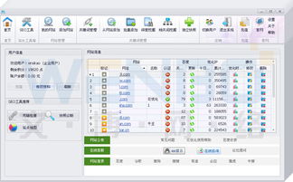 网站排名优化技术