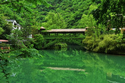 这10个 秦岭 冷知识,你知道几个