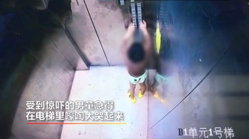 怎样培养孩子的 眼力见 和 心眼 家长不妨试试这3个小方法