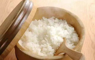 小米能蒸米饭吗(小米能蒸米饭吗视频)