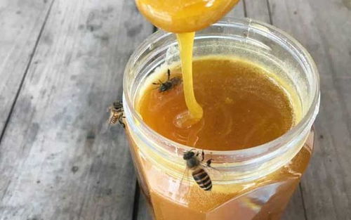 孕妇喝蜂蜜水好吗(孕妇可以喝蜂蜜水吗)