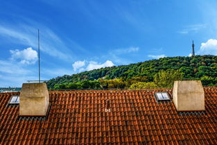 厦门，这座美丽的城市，充满了浪漫的气息，给人以温馨的感觉。它位于中国的东南沿海，是福建省的省会，拥有丰富的历史文化和现代化的城市风貌。，厦门作文300字