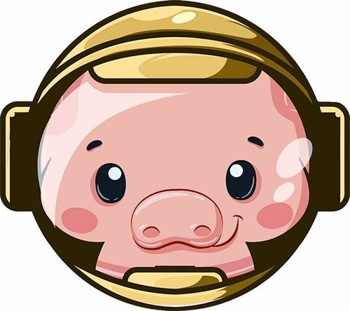 pig币猪币会下架吗,pig币和pok币的概要 pig币猪币会下架吗,pig币和pok币的概要 行情