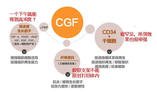 干细胞美容到底是黑科技还是伪科学