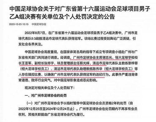 源文件论文查重文案：揭秘查重背后的策略