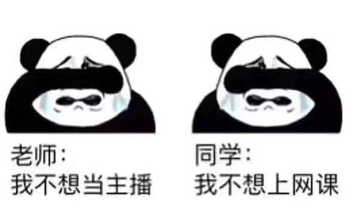 不可以啊我可是老师啊啊别|哪里有黄文看