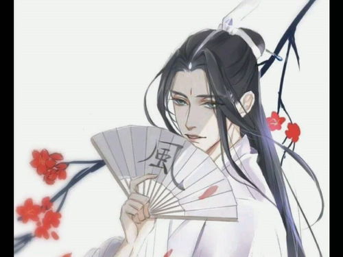 女装青玄形象 天官赐福 风师青玄 