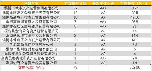 烧烤能否带热淄博城投债,城投债的介绍