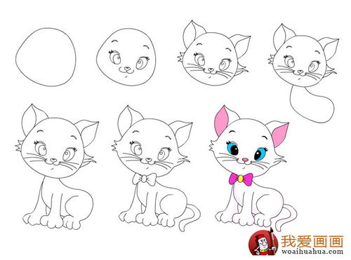 简笔画教程 可爱的小猫咪绘画步骤