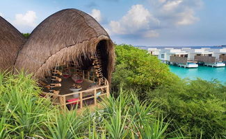 迪加利岛和马尔代夫比较两个海岛旅游的好处